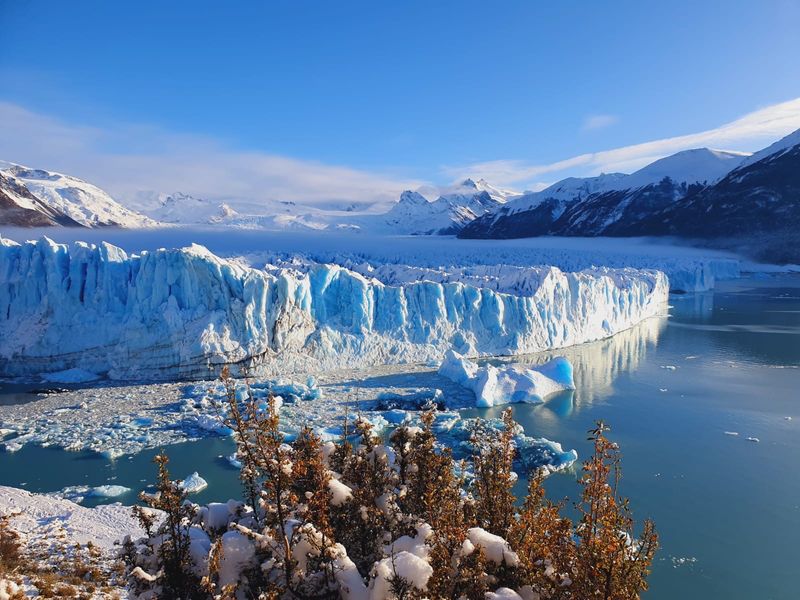 Punta Arenas Private Tour - Perito Moreno 