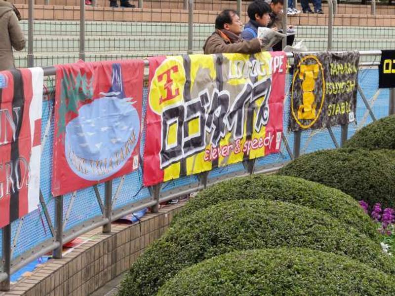 Chiba Private Tour - Parade ring Japanese style