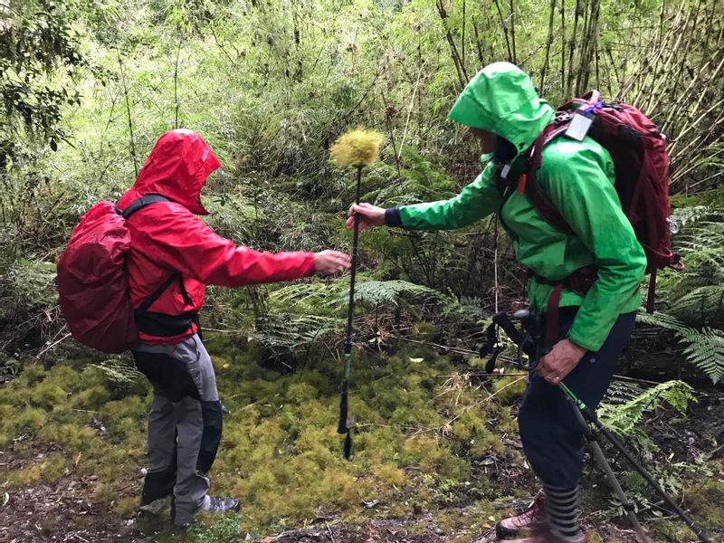 Puerto Varas Private Tour - Of course the rain is a blessing here 