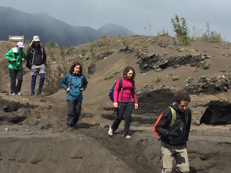 Puerto Varas Private Tour - After the eruption on 2015 the trail turned a bit ashy...