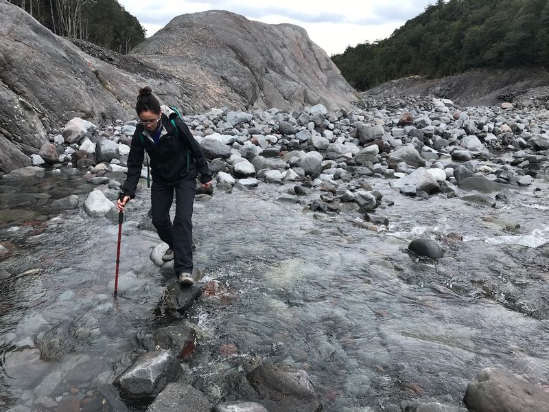 Puerto Varas Private Tour - A bit of balance to cross this river during winter time.