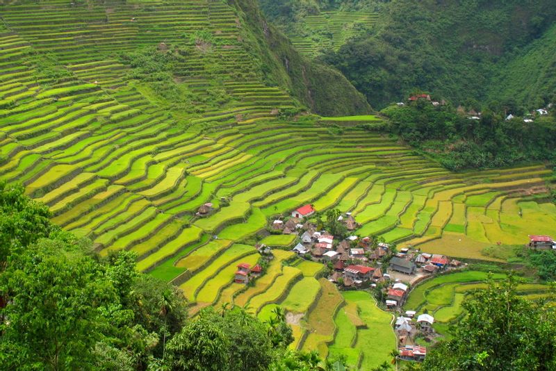 Quezon City Private Tour - The Batad Rice terraces in the province of Ifugao