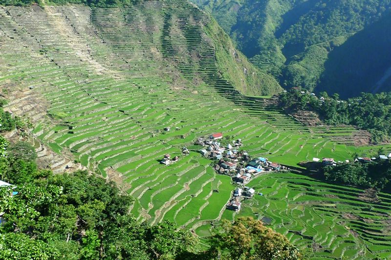 Quezon City Private Tour - terraces that were carved into the mountains of Banaue, Ifugao, in the Philippines, by the ancestors of the Igorot people. The terraces are occasionally called the "Eighth Wonder of the World"