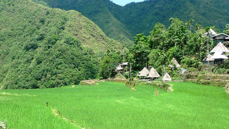 Quezon City Private Tour - The Batad rice terraces village