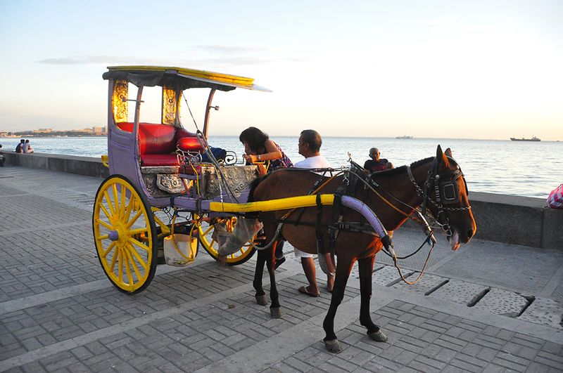 Manila Private Tour - Horse Carriage (Kalesa)