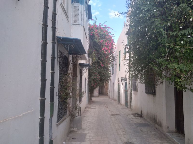 Tunis Private Tour - Andalusian street