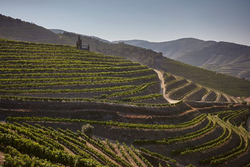 Porto Private Tour - Pinhão