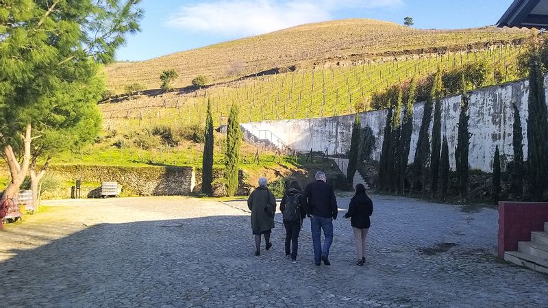 Porto Private Tour - Quinta Nova