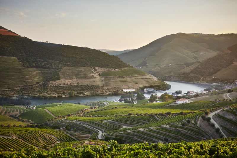 Porto Private Tour - Pinhão