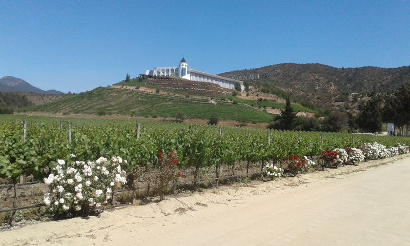 Region Metropolitana Private Tour - Casablanca Valley 