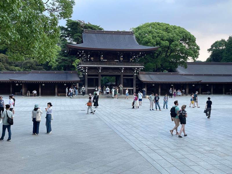 Tokyo Private Tour - Meiji　Jingu