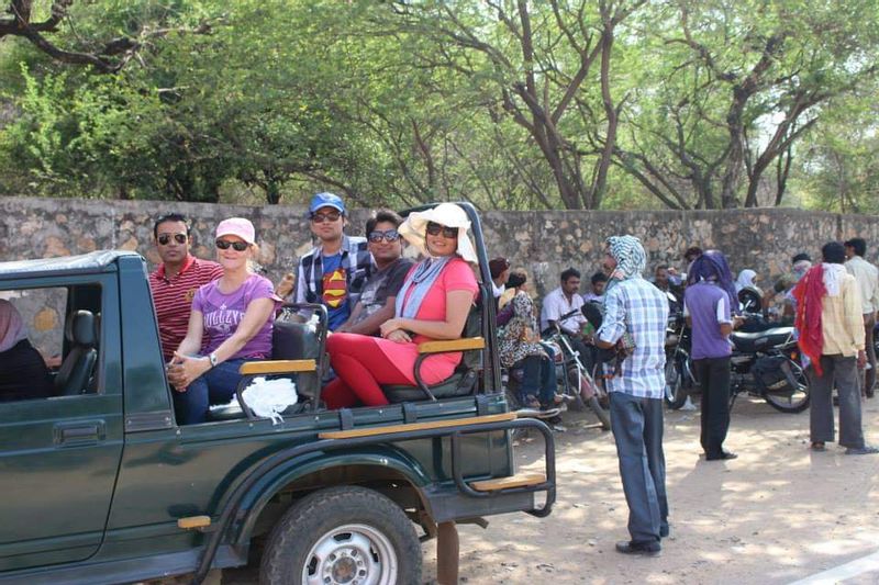 Jaipur Private Tour - Ranthambore national park same day from Jaipur 