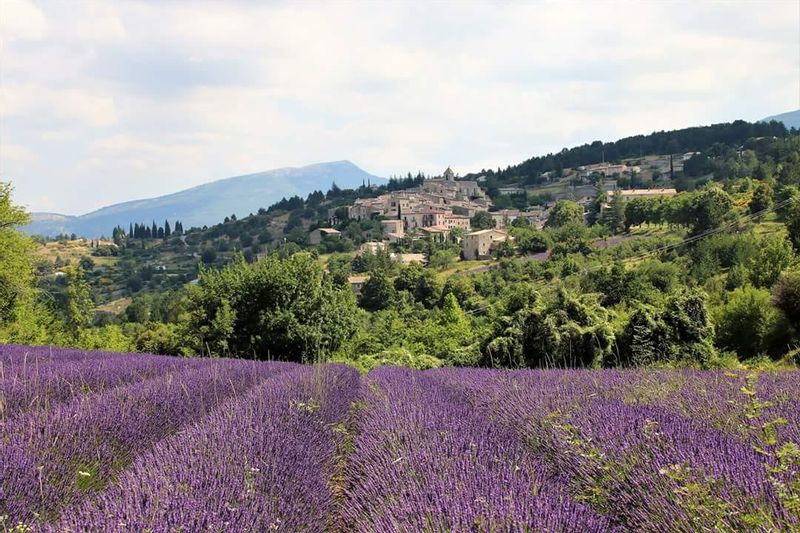 Aix en Provence Private Tour - Aurel