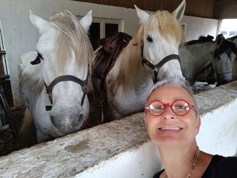 Aix en Provence Private Tour - Camargue horse ride