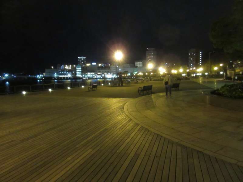 Kanagawa Private Tour - Night at Verny Park, Yokosuka, Kanagawa