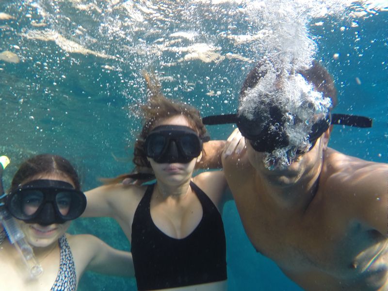 Provence-Alpes-Cote d'Azur Private Tour - Snorkeling excursions