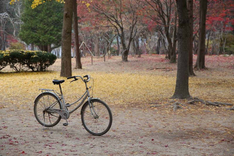 Seoul Private Tour - Nami island