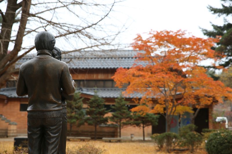 Seoul Private Tour - Nami island