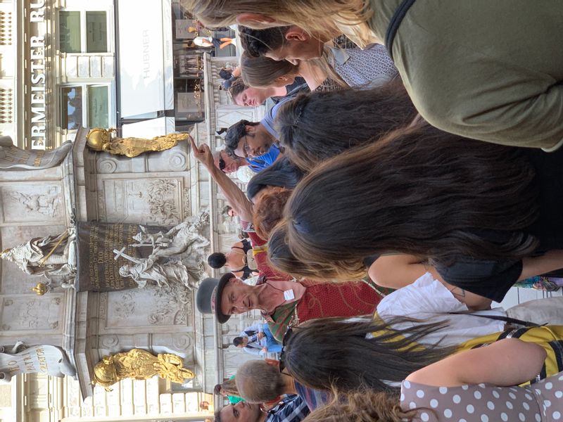 Vienna Private Tour - Plague column