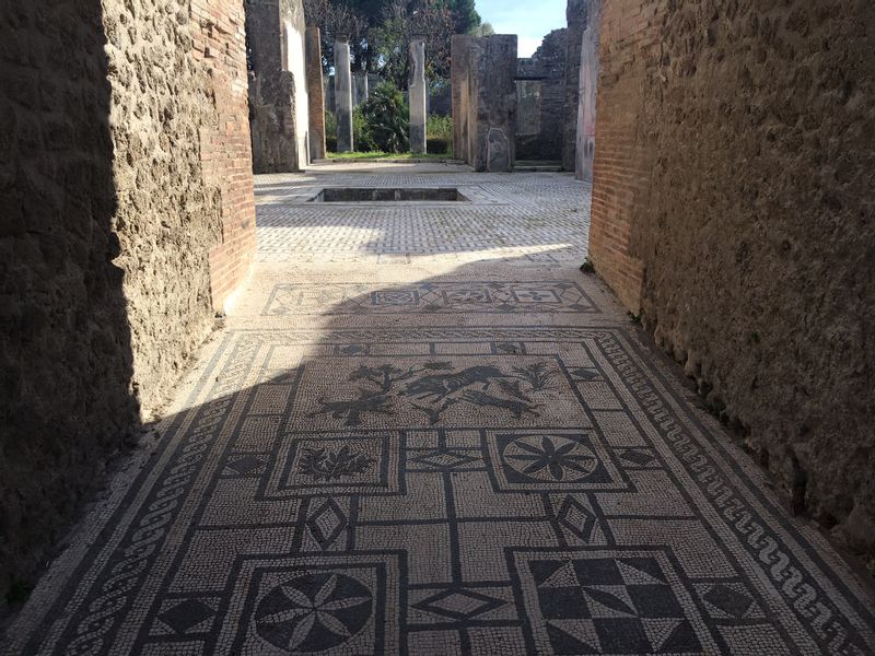 Pompeii Private Tour - Mosaic floor in a Roman house at Pompeii 