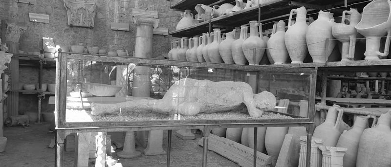 Pompeii Private Tour - Victim of the eruption