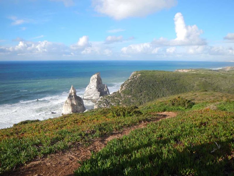 Setubal Private Tour - Praia da Ursa, we´ll pass there on the coast hike