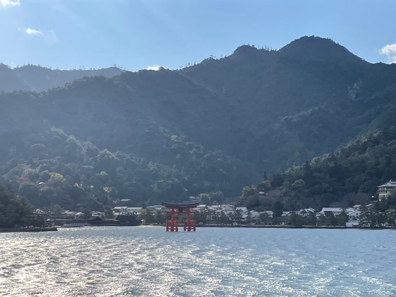 Hiroshima Private Tour - Torii gate seeming floating on the water