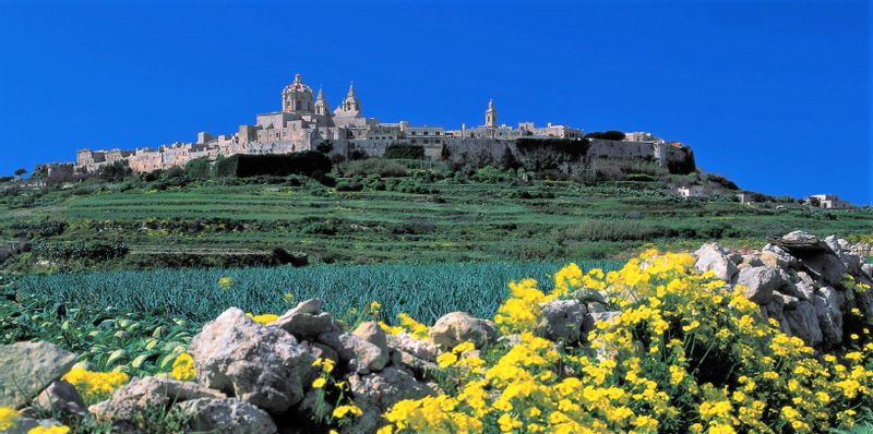 Malta Private Tour - Mdina