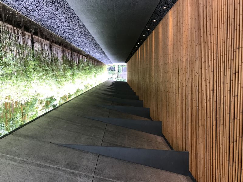 Yokohama Private Tour - Nezu Museum designed by Kuma Kengo