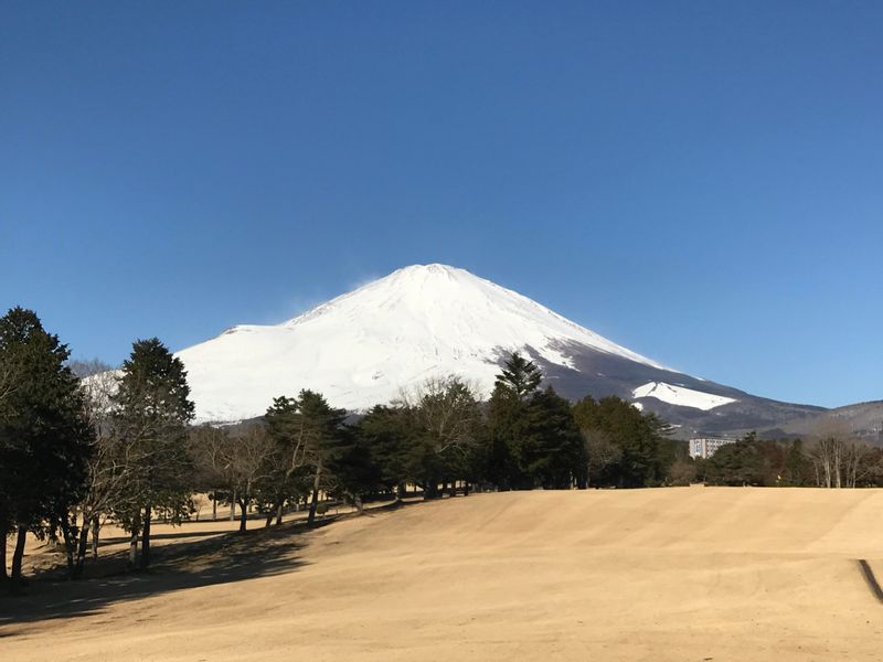 Yokohama Private Tour - Mount Fuji