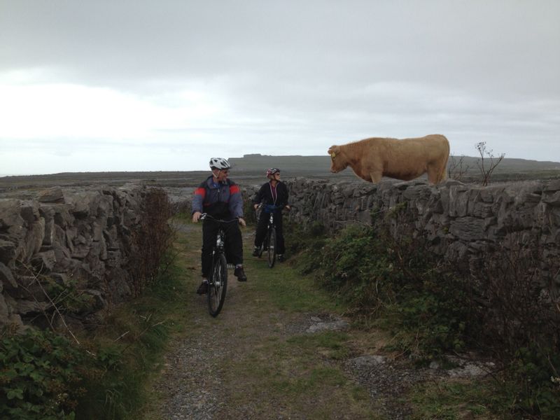 Clare Private Tour - local resident