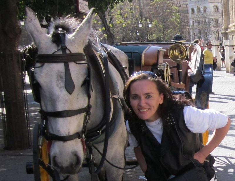 Dublin Private Tour - Horsing around :) 