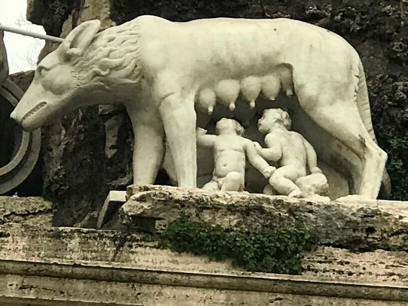 Rome Private Tour - Romolo, Remo and the wolf