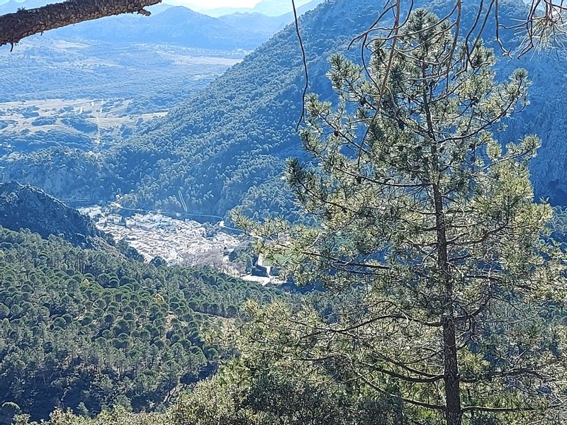 Seville Private Tour - The village of Grazalema