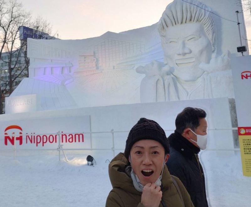 Hokkaido Private Tour - Sapporo snow festival