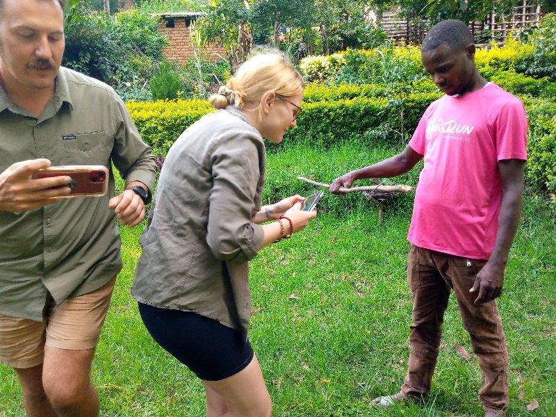 Tanga Private Tour - Identifying chameleon 