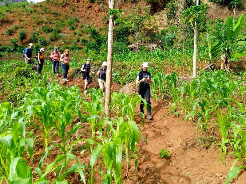 Tanga Private Tour - Farmland hiking trails 