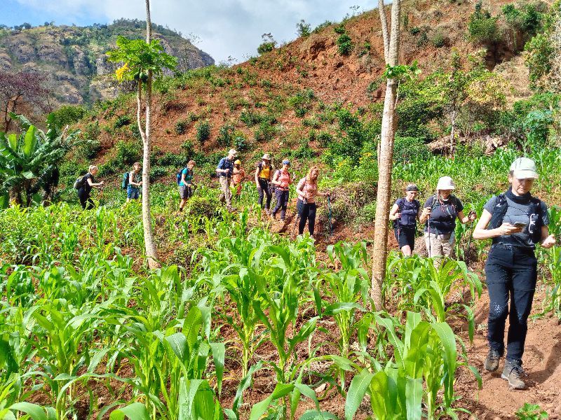 Tanga Private Tour - Farmland hiking trails 