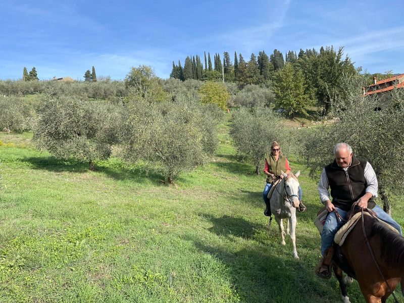 Florence Private Tour - Crossing fields