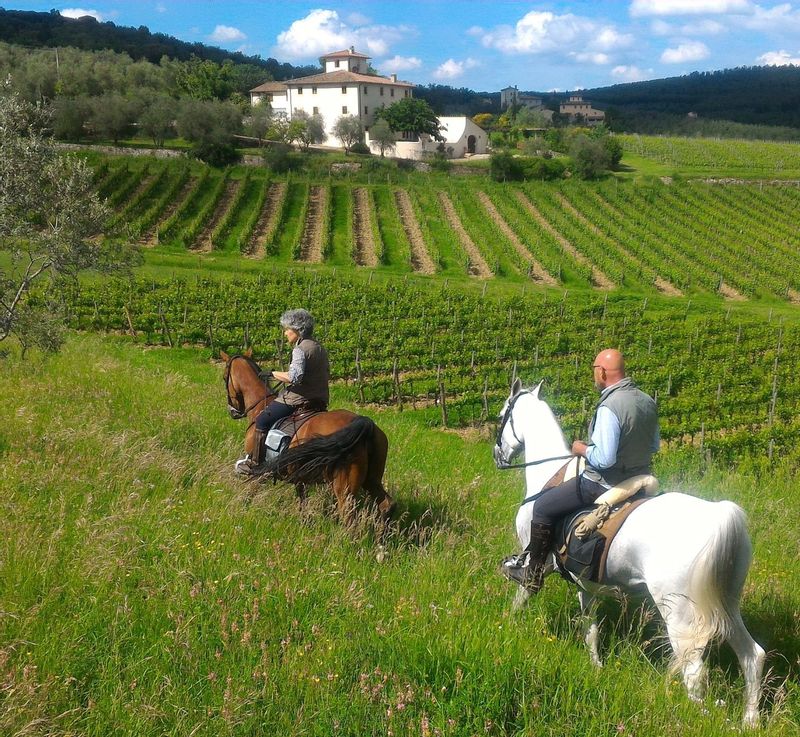 Florence Private Tour - Among the vineyeards