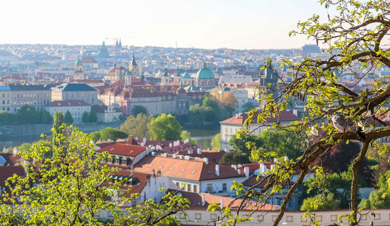 Prague Private Tour - view from Prague Castle