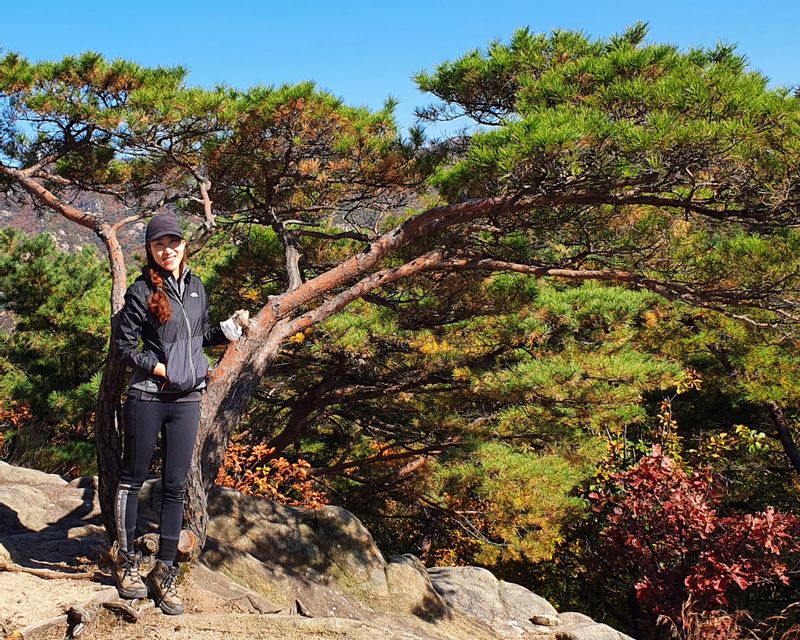 Seoul Private Tour - Love to hike in Korea