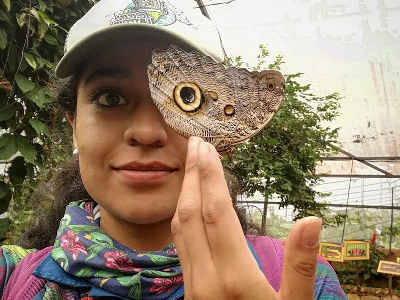 Pichincha Private Tour - Butterfly garden