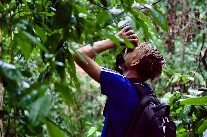 North Sulawesi Private Tour - My client is looking at an endemic animal in Tangkoko