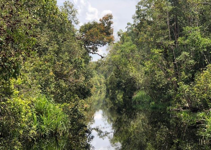 South Kalimantan Private Tour - Small river 