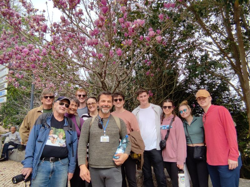 Sintra Private Tour - Camelias Tree From Japan