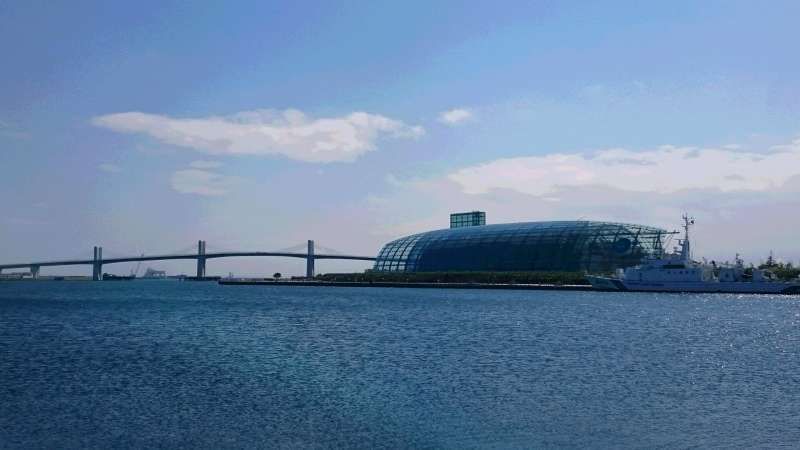 Fukushima Private Tour -  Aquamarine Fukushima (Prefectural Marine Science Museum)