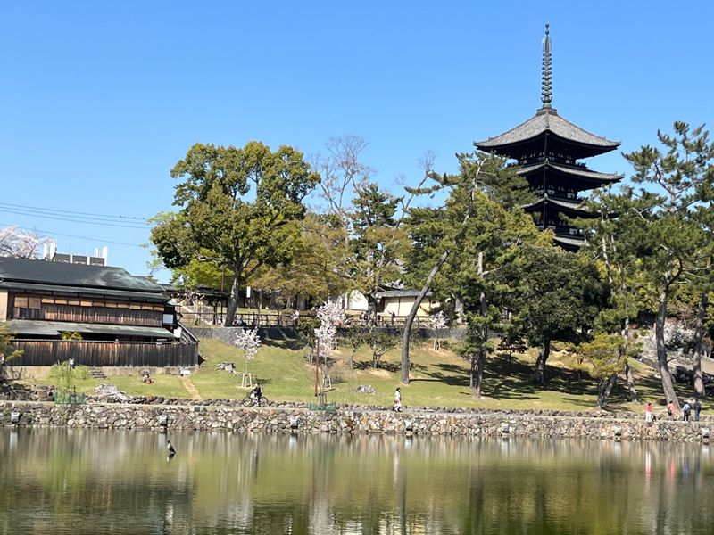 Nara Private Tour - Le temple du Kohukuji