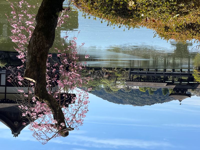 Nara Private Tour - Le jardin du sanctuaire de He-an à Kyoto