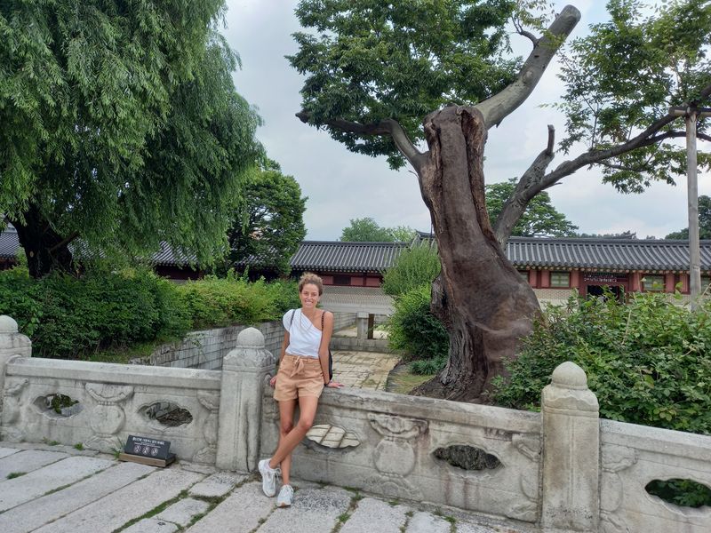 Seoul Private Tour - Changdeokgung